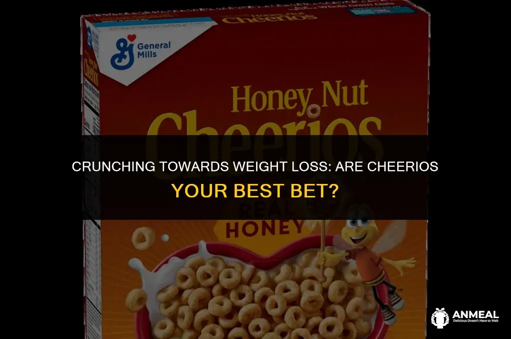 are cheerios a good snack for weight loss