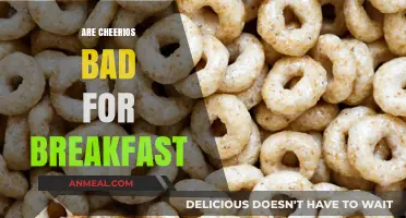 Are Cheerios a Healthy Breakfast Choice? Pros and Cons Explained