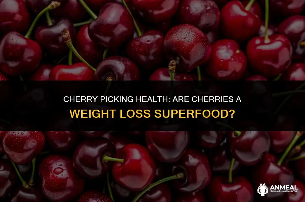are cherries a good snack for weight loss