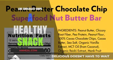 Decoding Nutrition: Are Chocolate Chips a Healthy Snack?