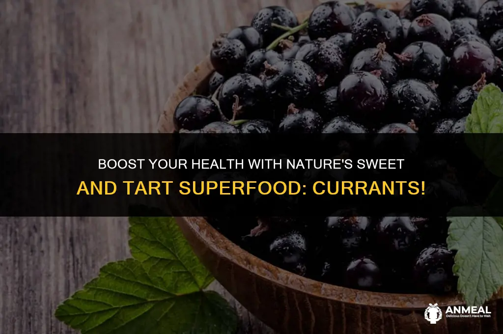 are currants a healthy snack