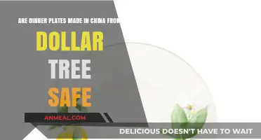 Are Dollar Tree's China-Made Dinner Plates Safe for Daily Use?