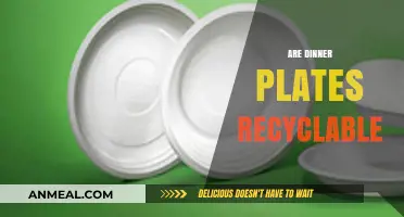 Can Dinner Plates Be Recycled? Eco-Friendly Disposal Tips Revealed