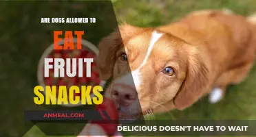 Can Dogs Enjoy Fruit Snacks? A Comprehensive Guide for Pet Owners