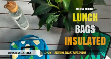 Eco-Friendly Lunch Bags: Insulated for Sustainability and Freshness