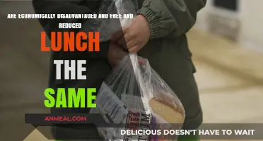 Understanding Economic Disadvantage and Free/Reduced Lunch Programs