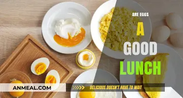 Egg-cellent Lunch Ideas: Are Eggs a Nutritious Midday Choice?