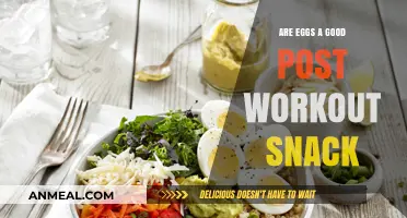 Fuel Your Recovery: The Surprising Benefits of Eggs Post-Workout