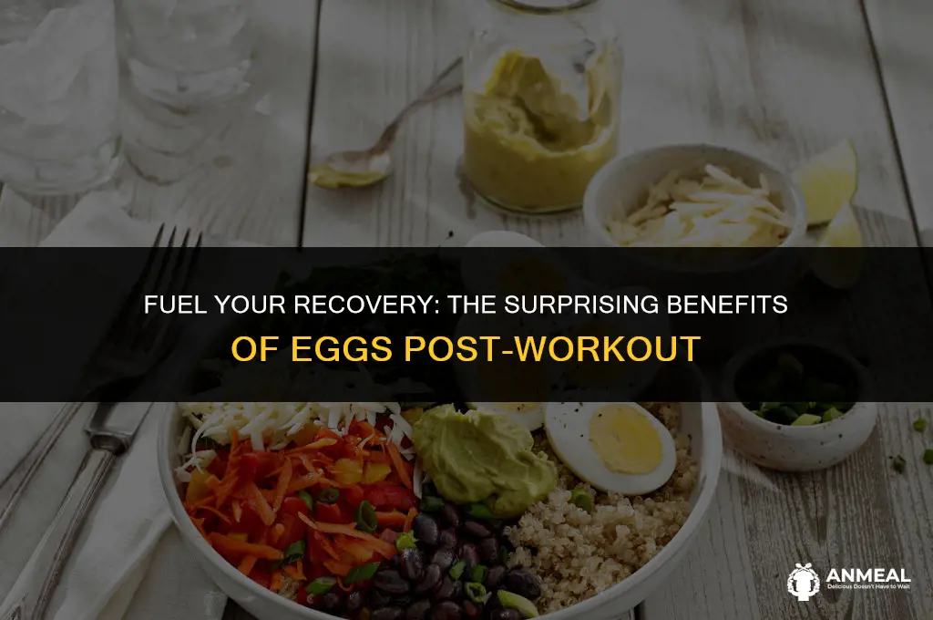 are eggs a good post workout snack