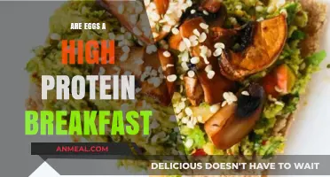 Protein-rich Breakfast: Are Eggs the Ultimate Solution?
