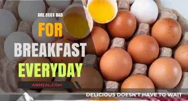 Eggs for Breakfast: Healthy Daily Habit or Not?