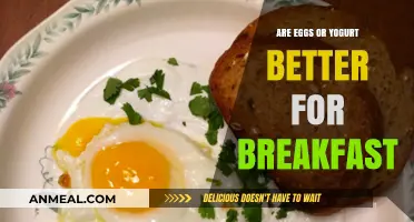 Eggs vs Yogurt: Which Breakfast is Better?
