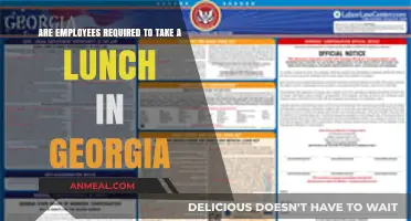 Georgia Lunch Break Laws: What Employees Need to Know