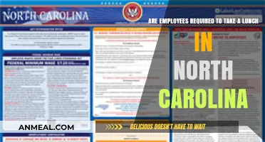 Understanding Lunch Break Requirements in North Carolina