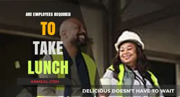 Understanding Lunch Break Mandates: A Guide for Employees and Employers