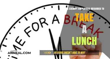 Understanding Lunch Breaks for Exempt Employees: A Comprehensive Guide
