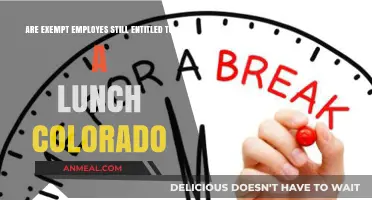 Colorado Labor Laws: Lunch Breaks for Exempt Employees Explained