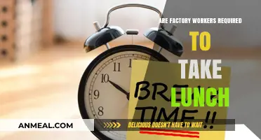 Mandatory Lunch Breaks for Factory Workers: A Comprehensive Guide