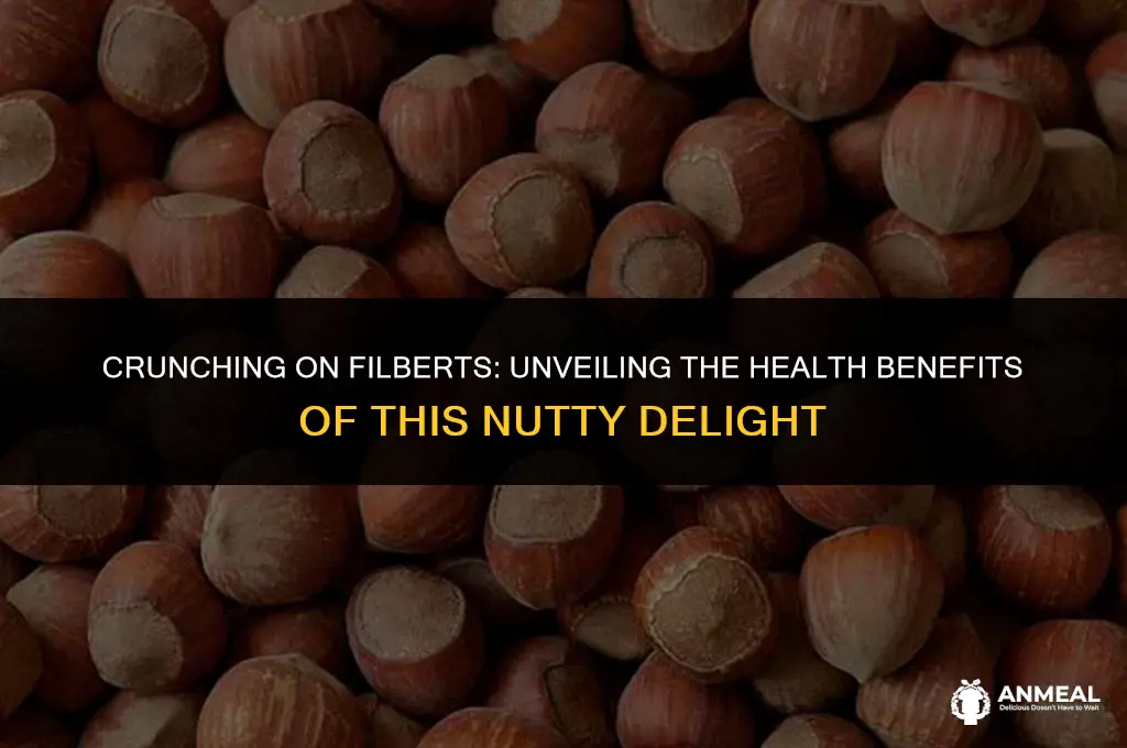 are filbert nuts a healthy snack
