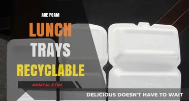 Unpacking Sustainability: The Truth About Recycling Foam Lunch Trays