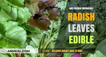 Radish Leaves: French Breakfast Delight or Disaster?