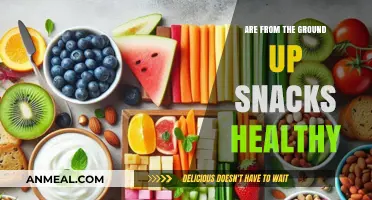Exploring the Health Benefits of From-the-Ground-Up Snacks