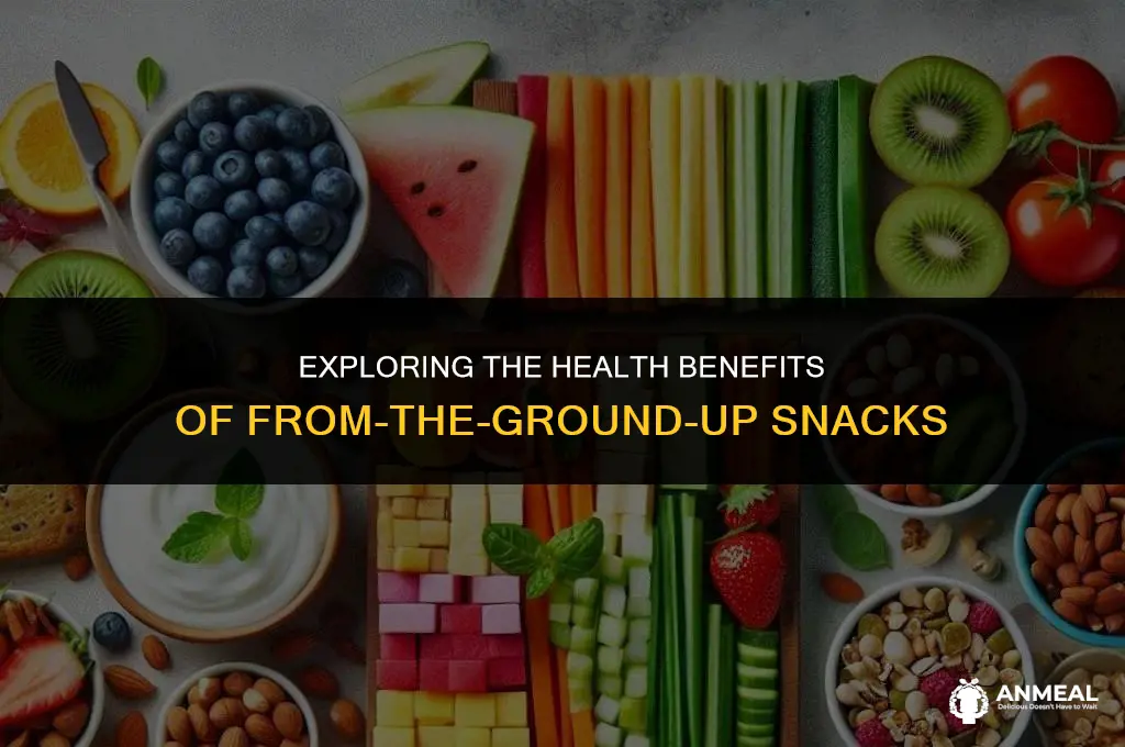 are from the ground up snacks healthy