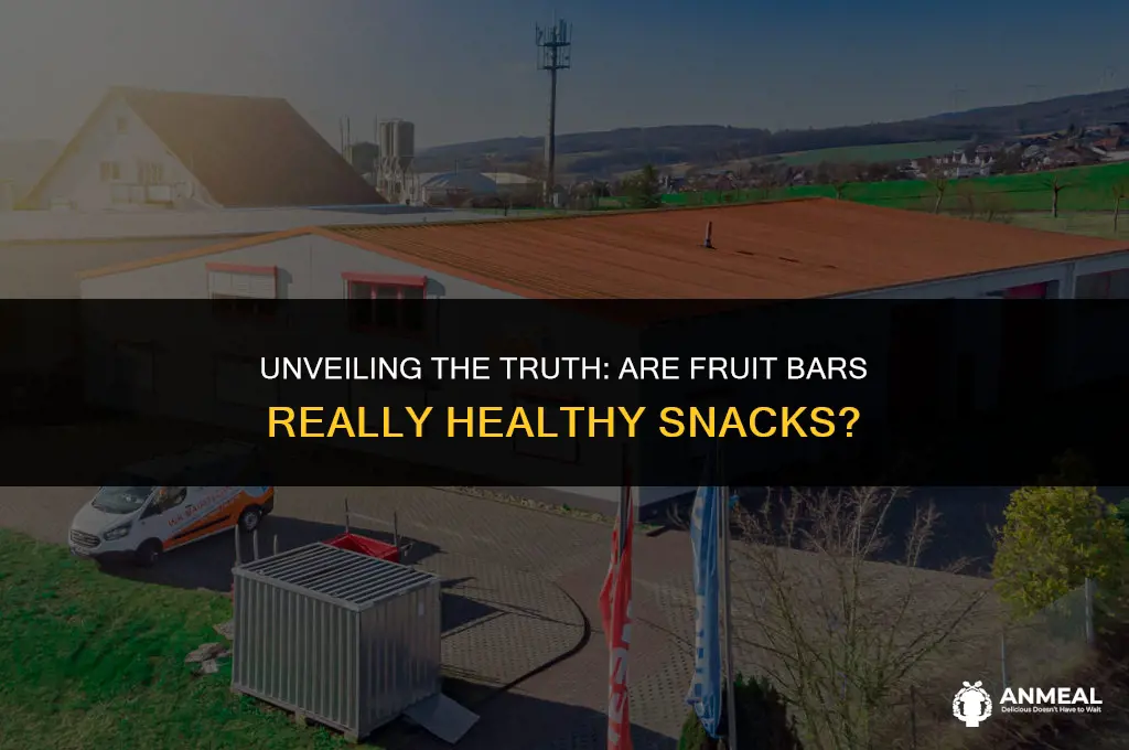 are fruit bars healthy snacks