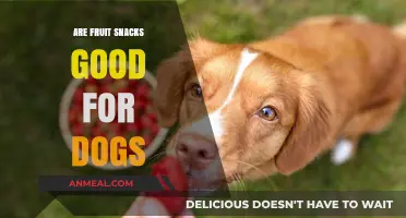 Can Fruit Snacks Be a Healthy Treat for Your Dog?