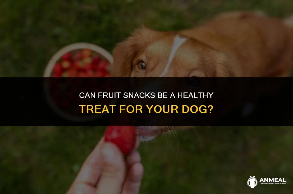 are fruit snacks good for dogs