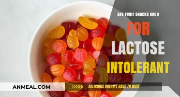 Exploring Healthy Snack Options: Are Fruit Snacks Safe for Lactose Intolerance?