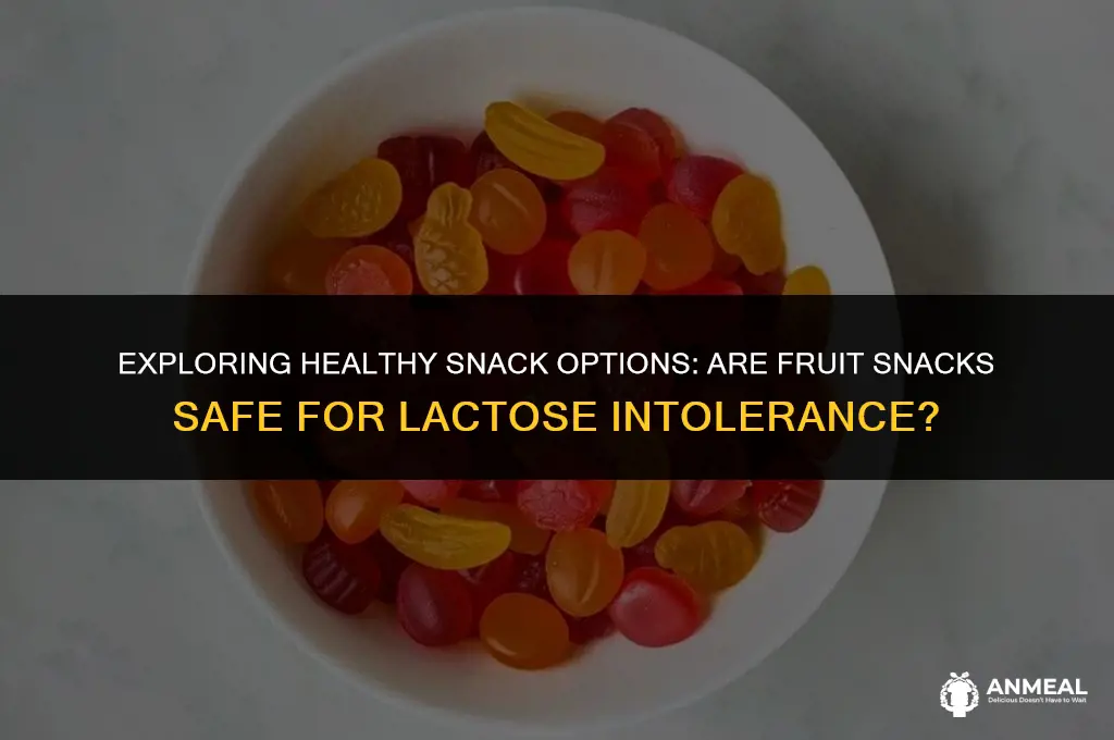 are fruit snacks good for lactose intolerant