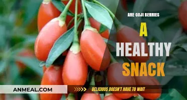 Goji Berries: Unveiling the Truth Behind Their Healthy Snack Status