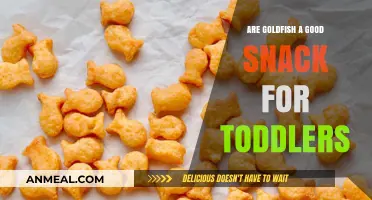 Goldfish Crackers: A Healthy Snack Option for Toddlers?