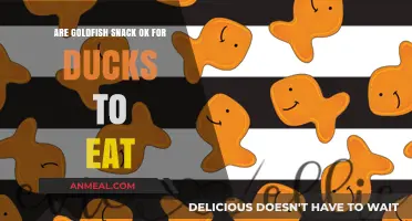 Feeding Ducks Goldfish Snacks: A Nutritional Guide for Pet Owners