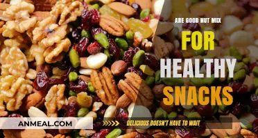 Crunchy Companions: The Ultimate Guide to Healthy Nut Mixes