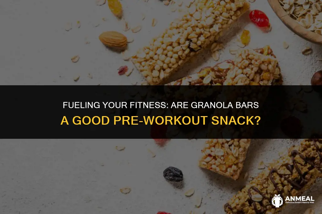 are granola bars a good pre workout snack