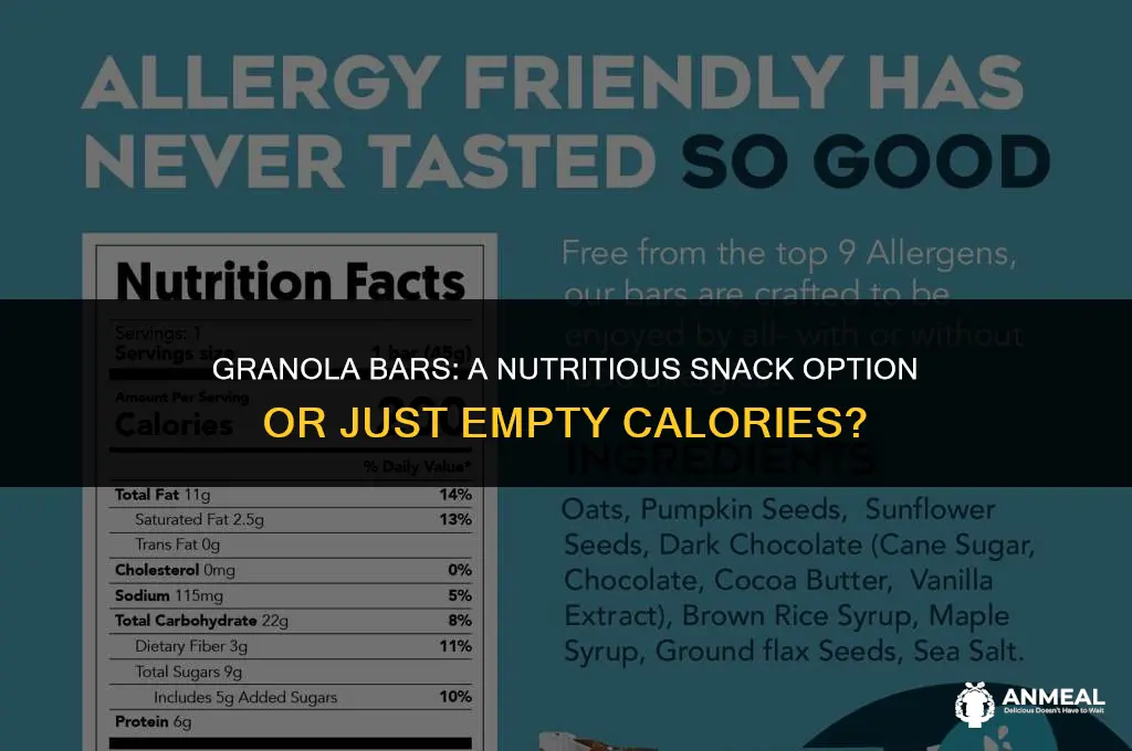 are granola bars a good snack