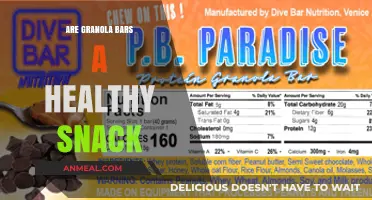 Granola Bars: A Nutritious Snack Option or Just Empty Calories?