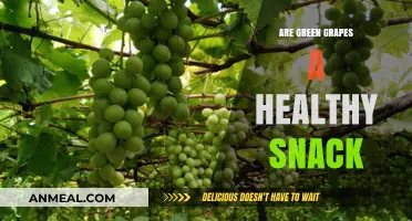Boost Your Health with Nature's Sweet Treat: Green Grapes