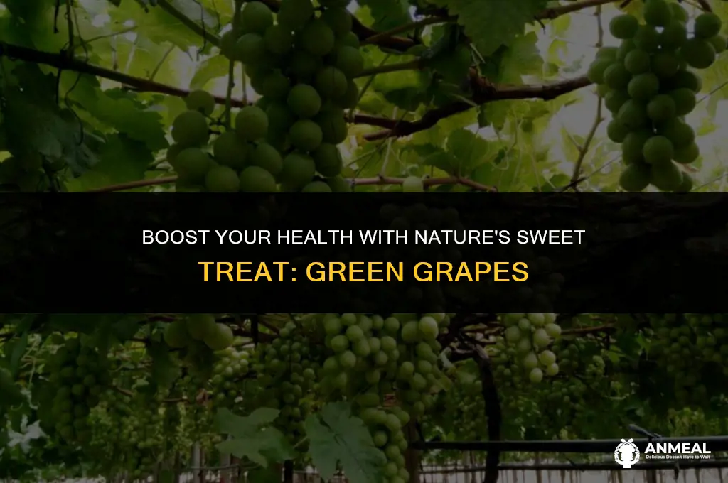 are green grapes a healthy snack