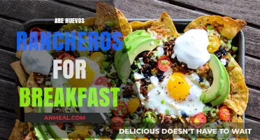 Huevos Rancheros for Breakfast: A Flavorful Morning Tradition Explored