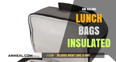 Exploring Iceland's Eco-Friendly Insulated Lunch Bags: A Sustainable Choice