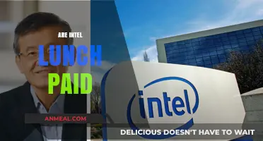Unveiling Intel's Lunch Policy: Paid or Not Paid?