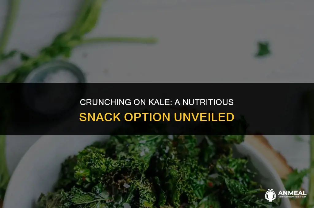are kale chips a healthy snack