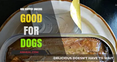Can Kipper Snacks Be a Healthy Treat for Your Dog?
