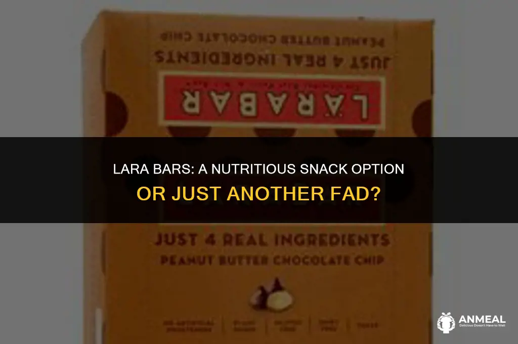 are lara bars a healthy snack