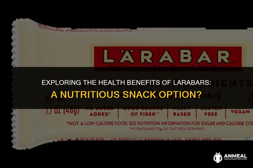 are larabars a healthy snack