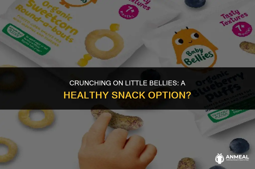 are little bellies snacks healthy