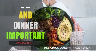 Why Lunch and Dinner Are Essential for Health and Productivity